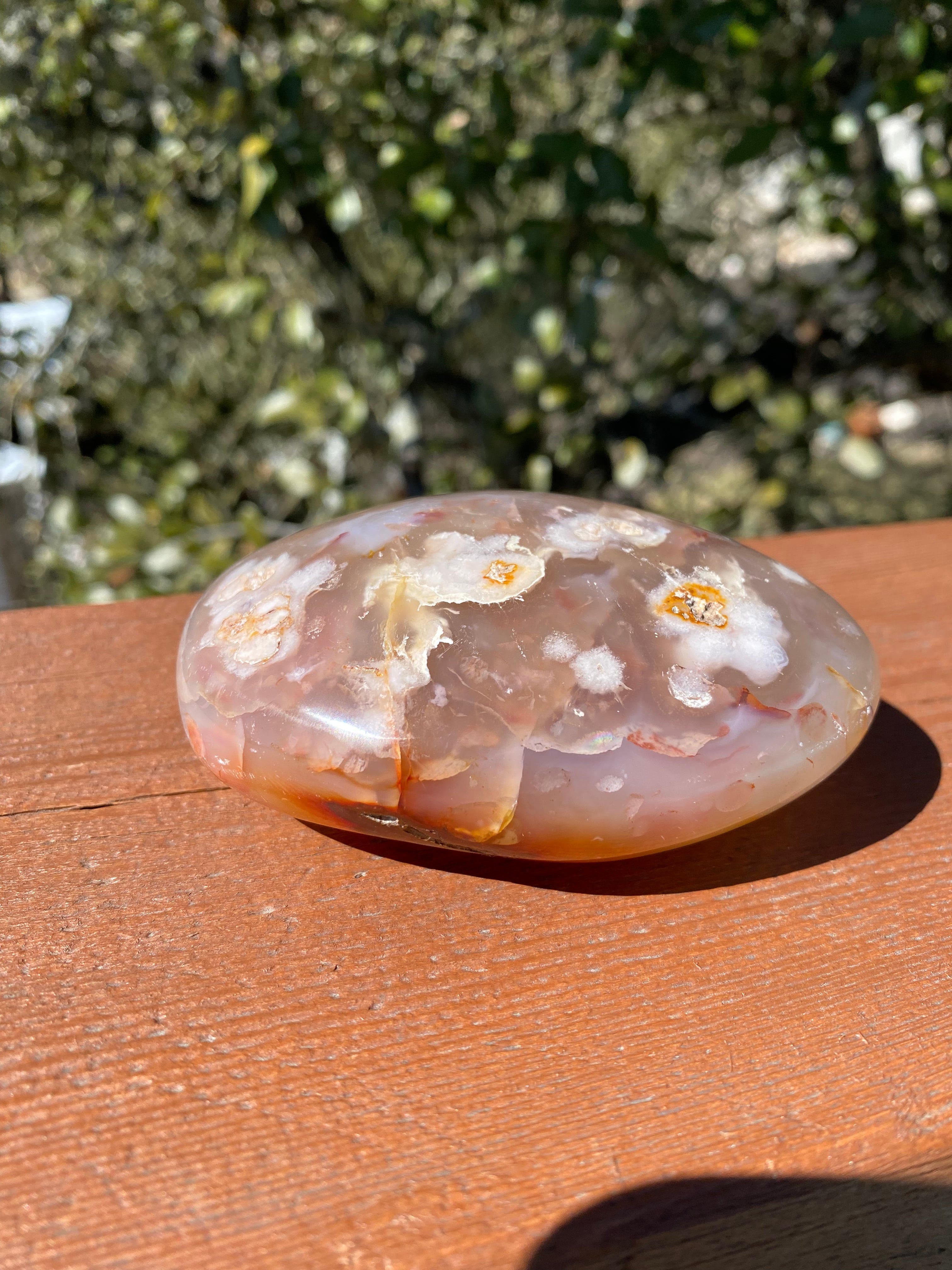 Flower Agate Freeform dazzles under the sun, revealing vibrant colors and floral inclusions with incredible depth and beauty