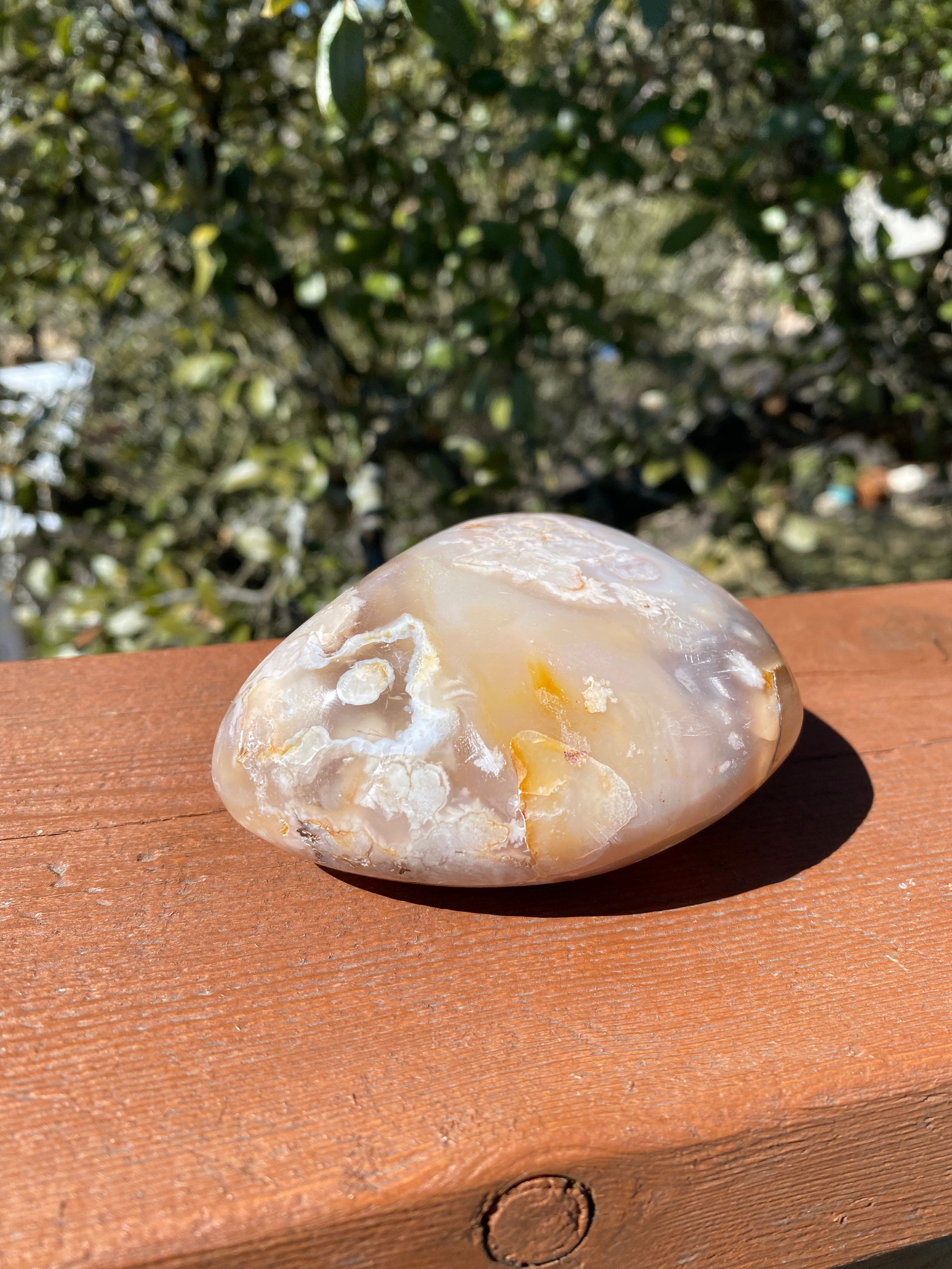 Flower Agate Palm Stone with delicate floral inclusions, perfect for personal growth, meditation, and embracing new opportunities