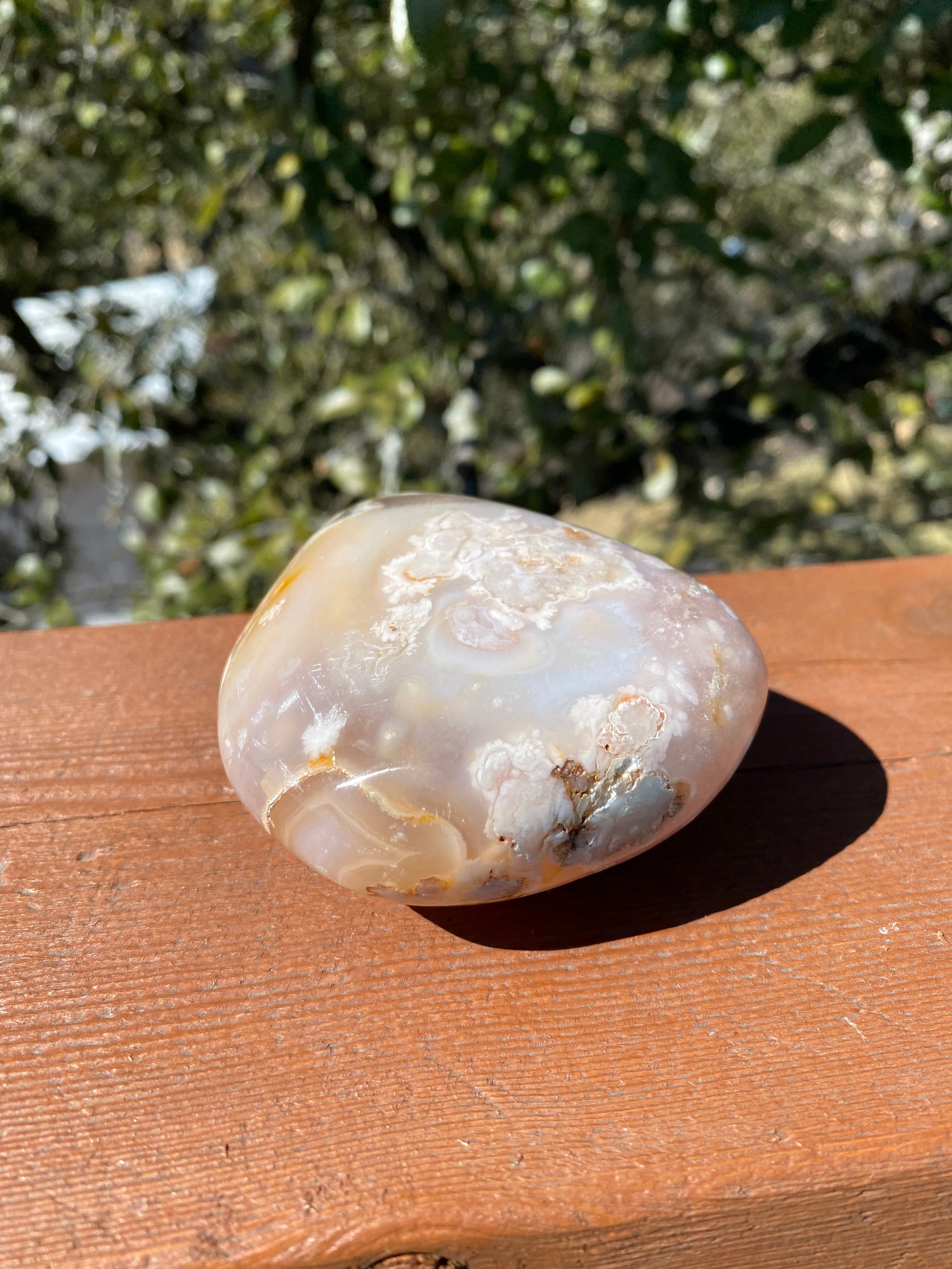 Flower Agate Palm Stone glows under the sun, revealing vibrant colors and intricate floral patterns, making it a true natural beauty