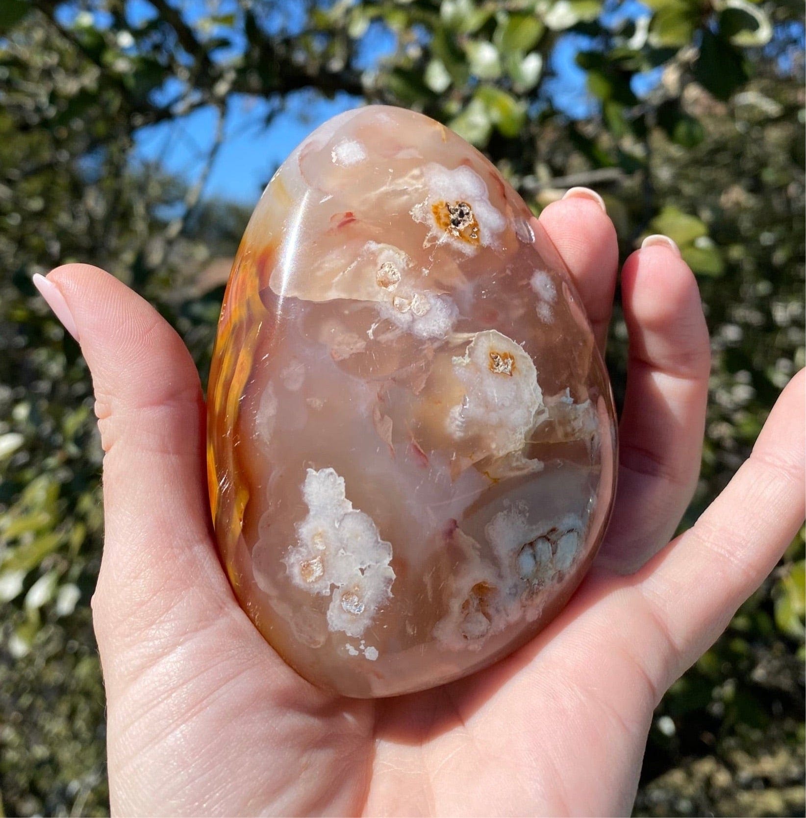 stunning Flower Agate Freeform glows under the sun, highlighting its unique floral inclusions and captivating colors