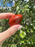Red Jasper Tumble Stone glows with deep red hues under the sun, grounding and balancing energy through the root chakra