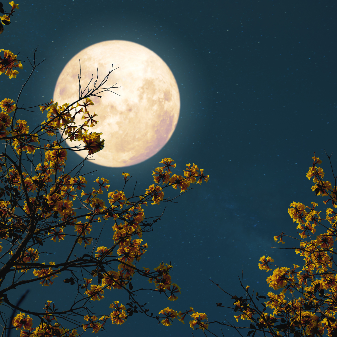 Full moon ritual no matter what the moon phase
