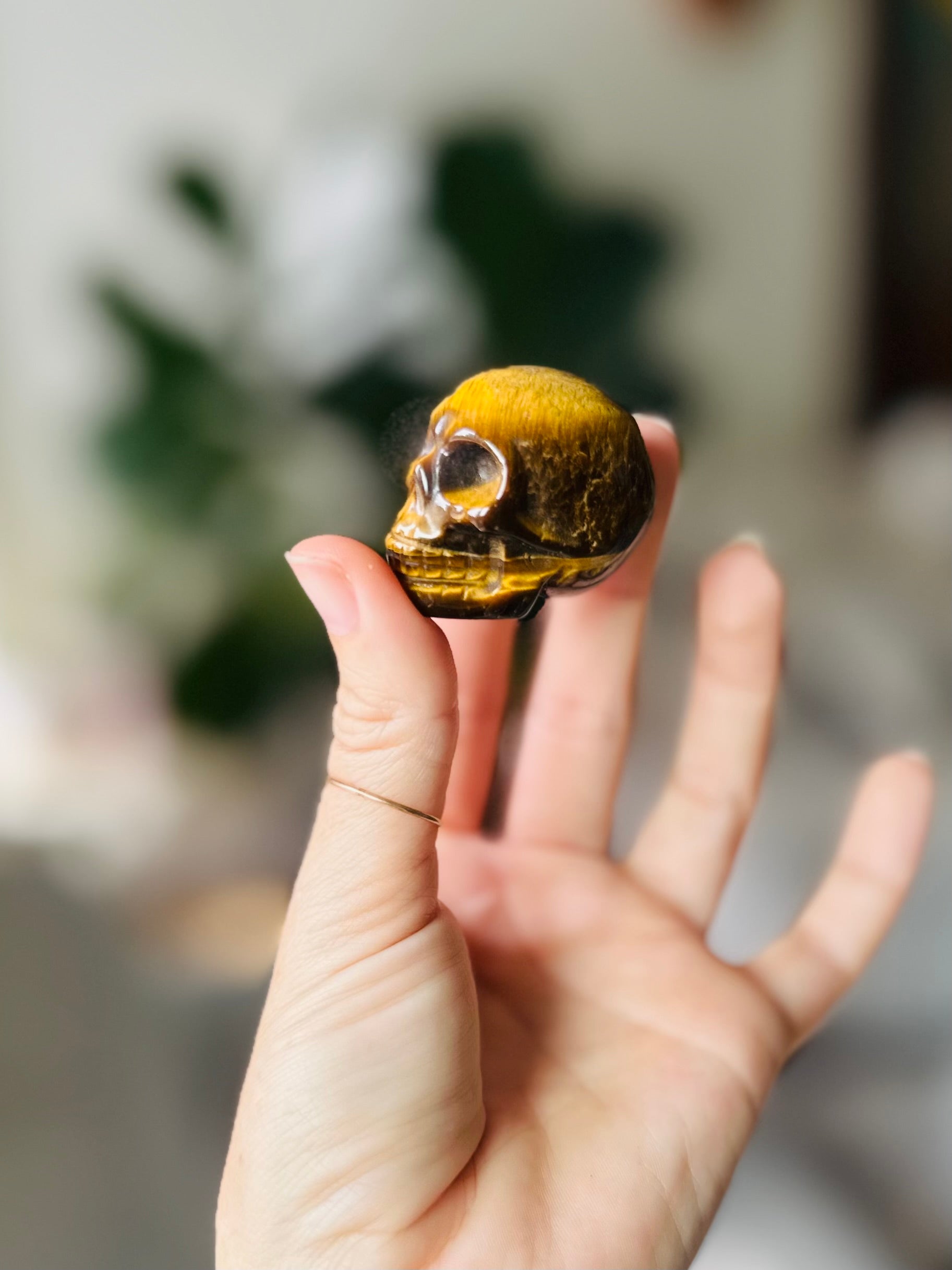 tiger eye crystal skull for protection and grounding, enhances focus and personal power with golden and brown bands