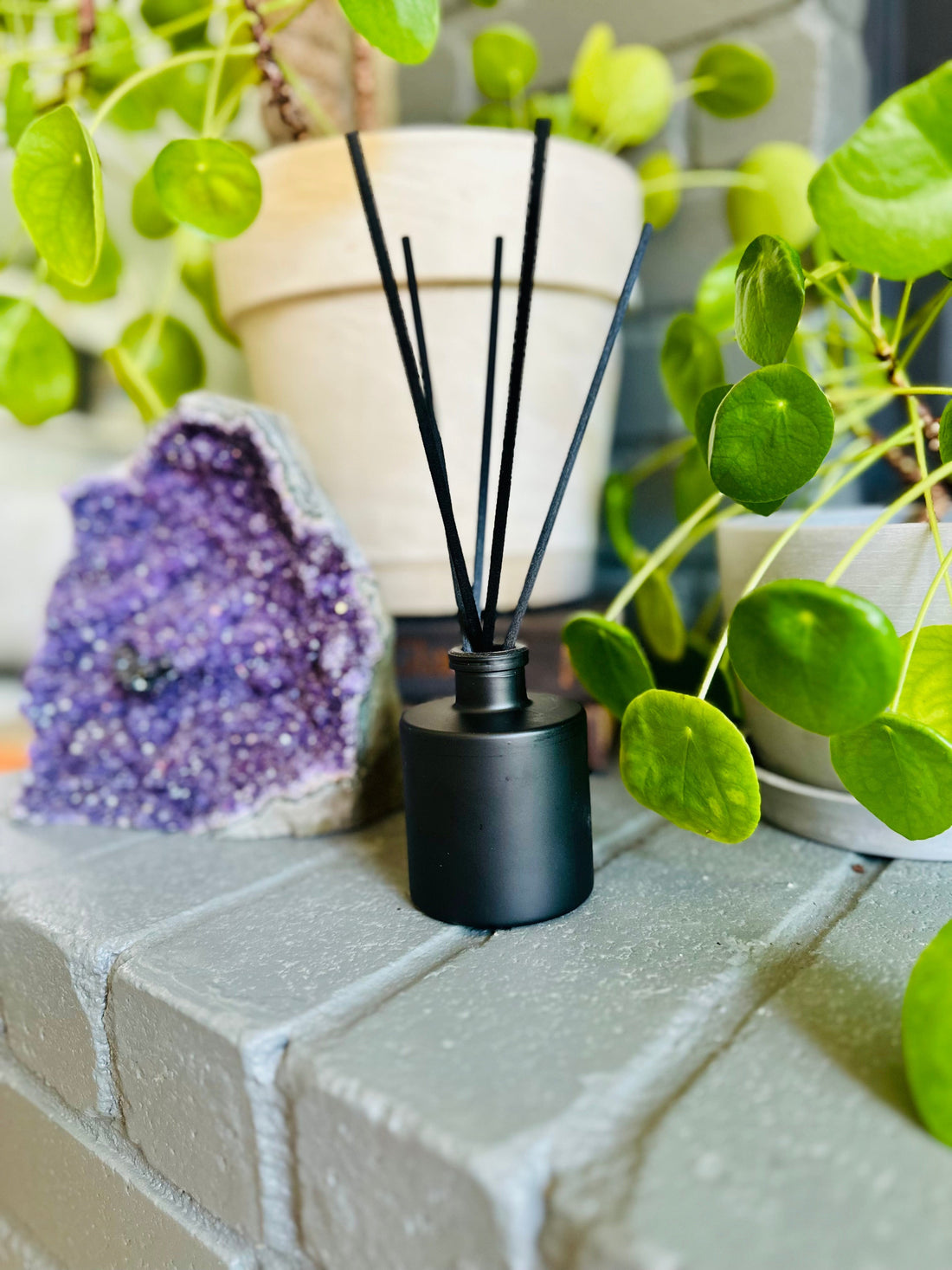 Black Matte Reed Diffuser – Frosted Juniper