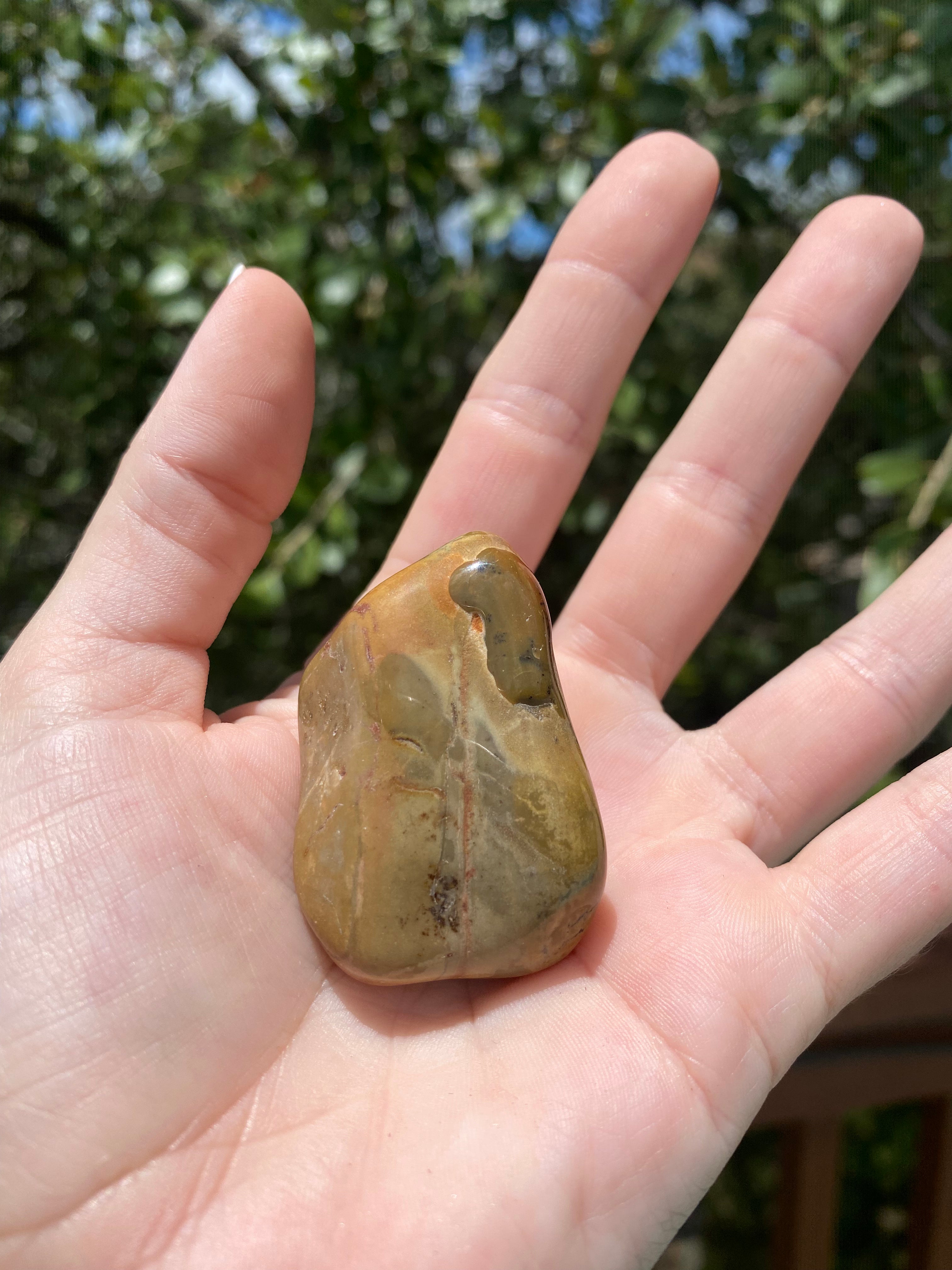 Brown Jasper Tumble