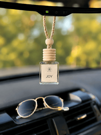 Pineapple Sage non-toxic car diffuser by BellaVee, hanging from rearview mirror
