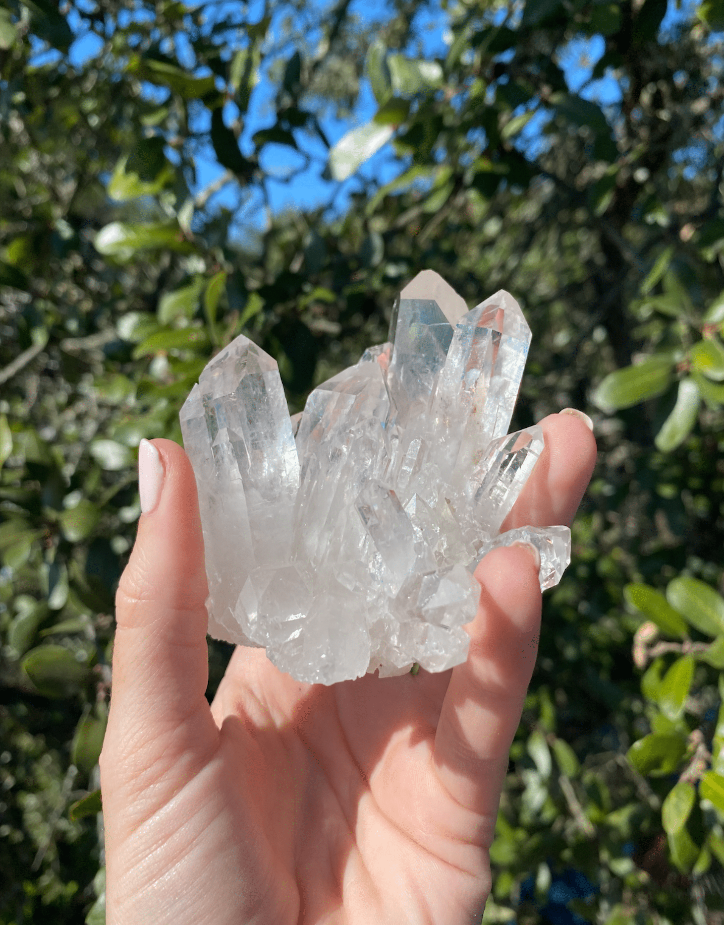 Clear Quartz Clusters