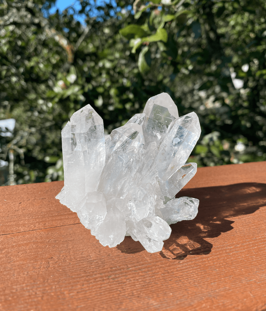 Clear Quartz Cluster | Crystal for Energy Amplification | BellaVee
