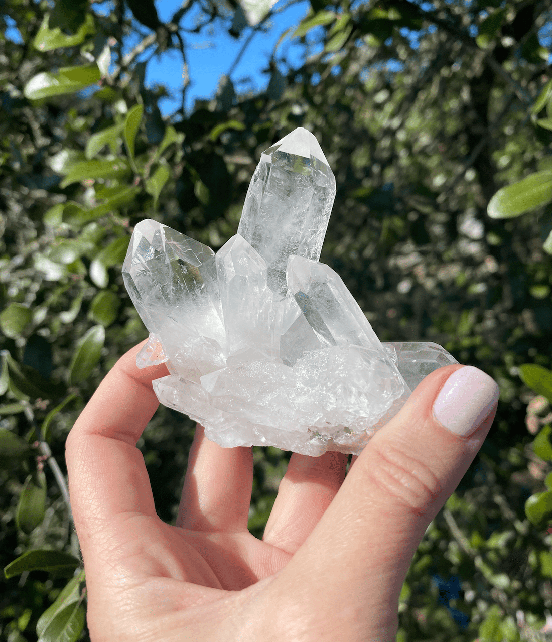 BellaVee clear quartz cluster large standalone natural quartz points energy amplification Austin Texas