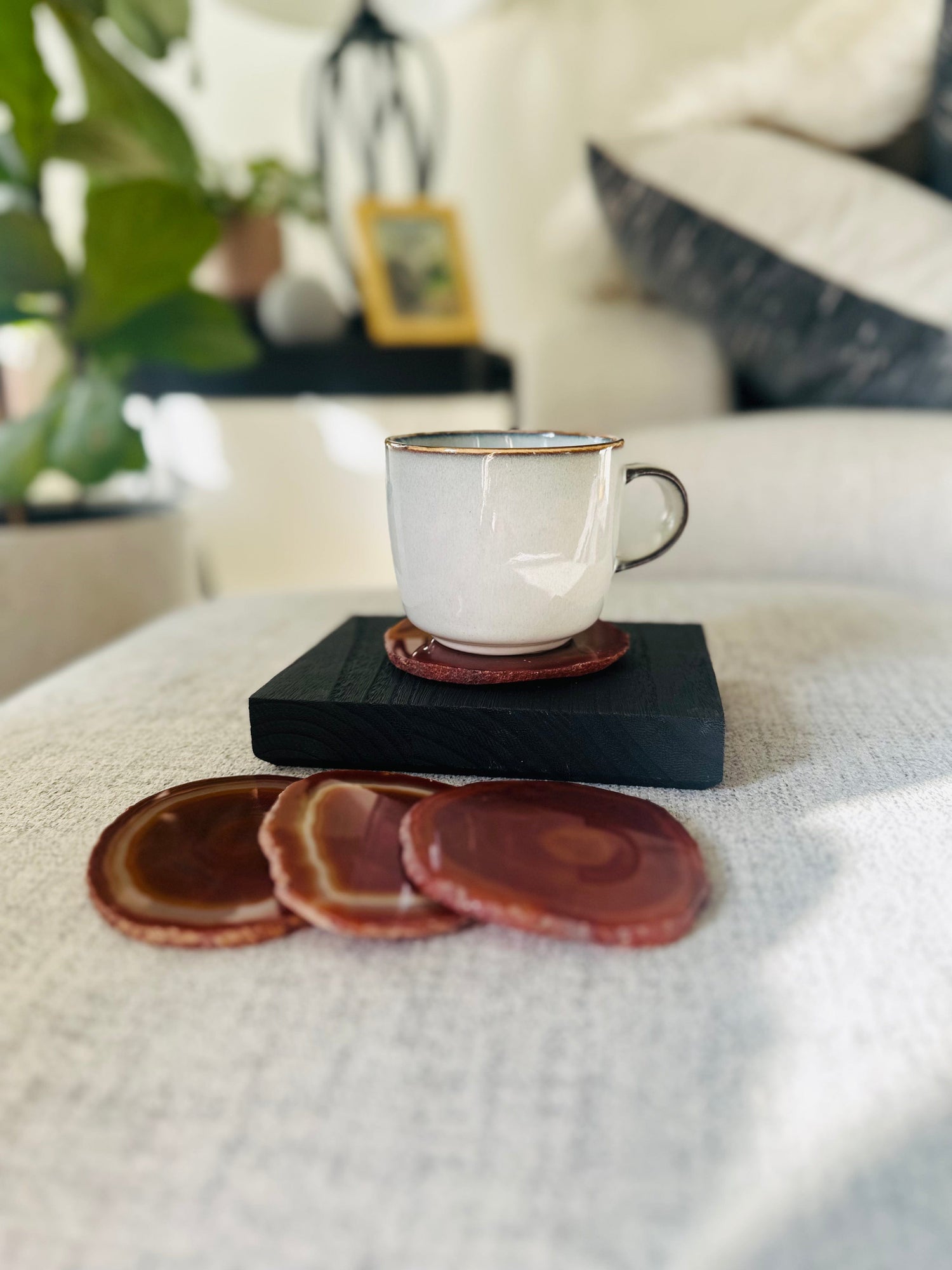 Agate Coasters