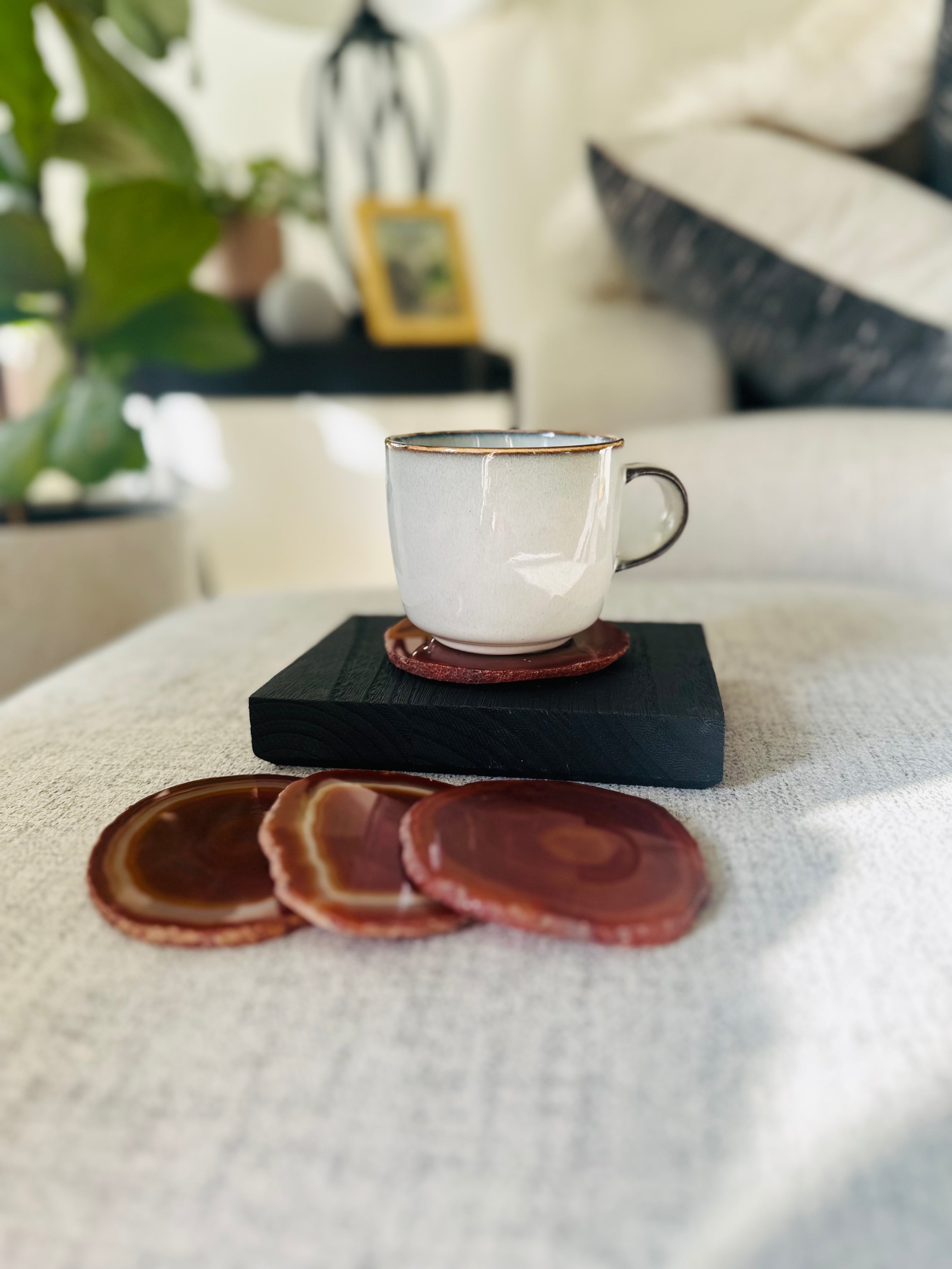 Agate Coasters