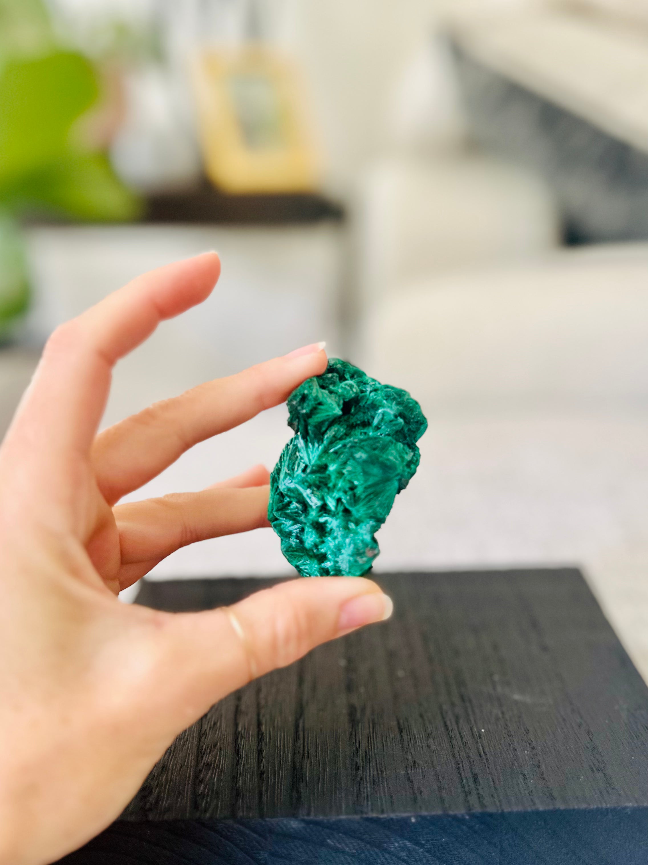 Raw Malachite shines with vibrant green hues when held, promoting personal growth and spiritual awareness