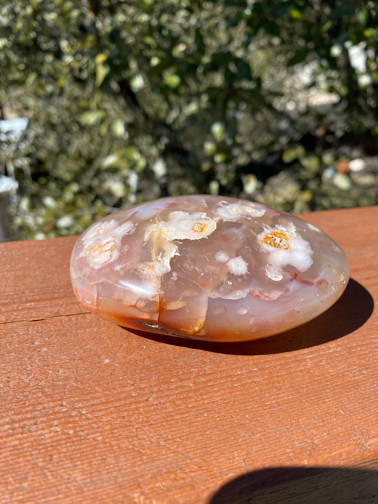 Flower Agate Freeform dazzles under the sun, revealing vibrant colors and floral inclusions with incredible depth and beauty