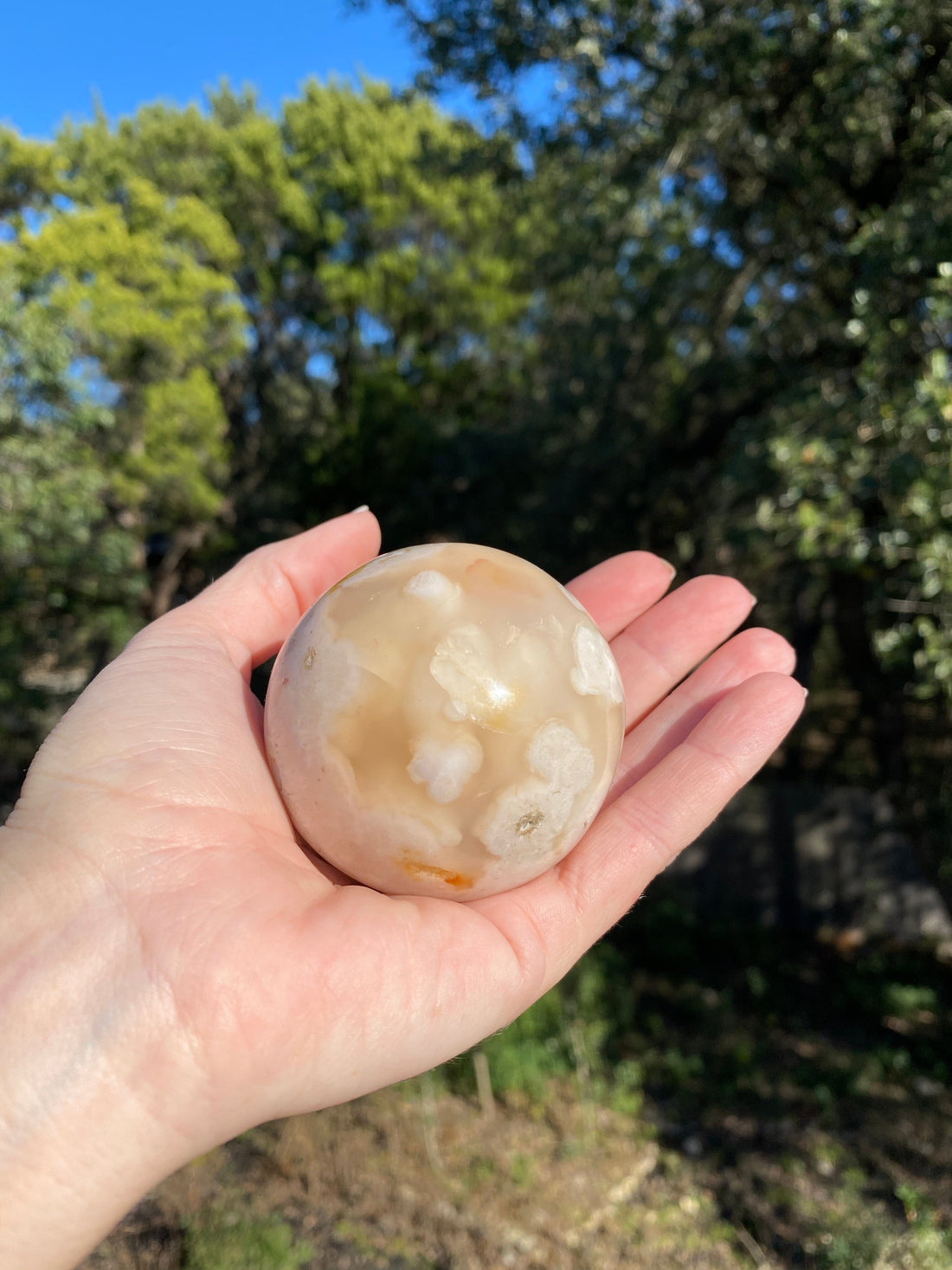 stunning Flower Agate Sphere radiates vibrant hues of pink and orange under sunlight, enhancing its floral-like beauty and depth