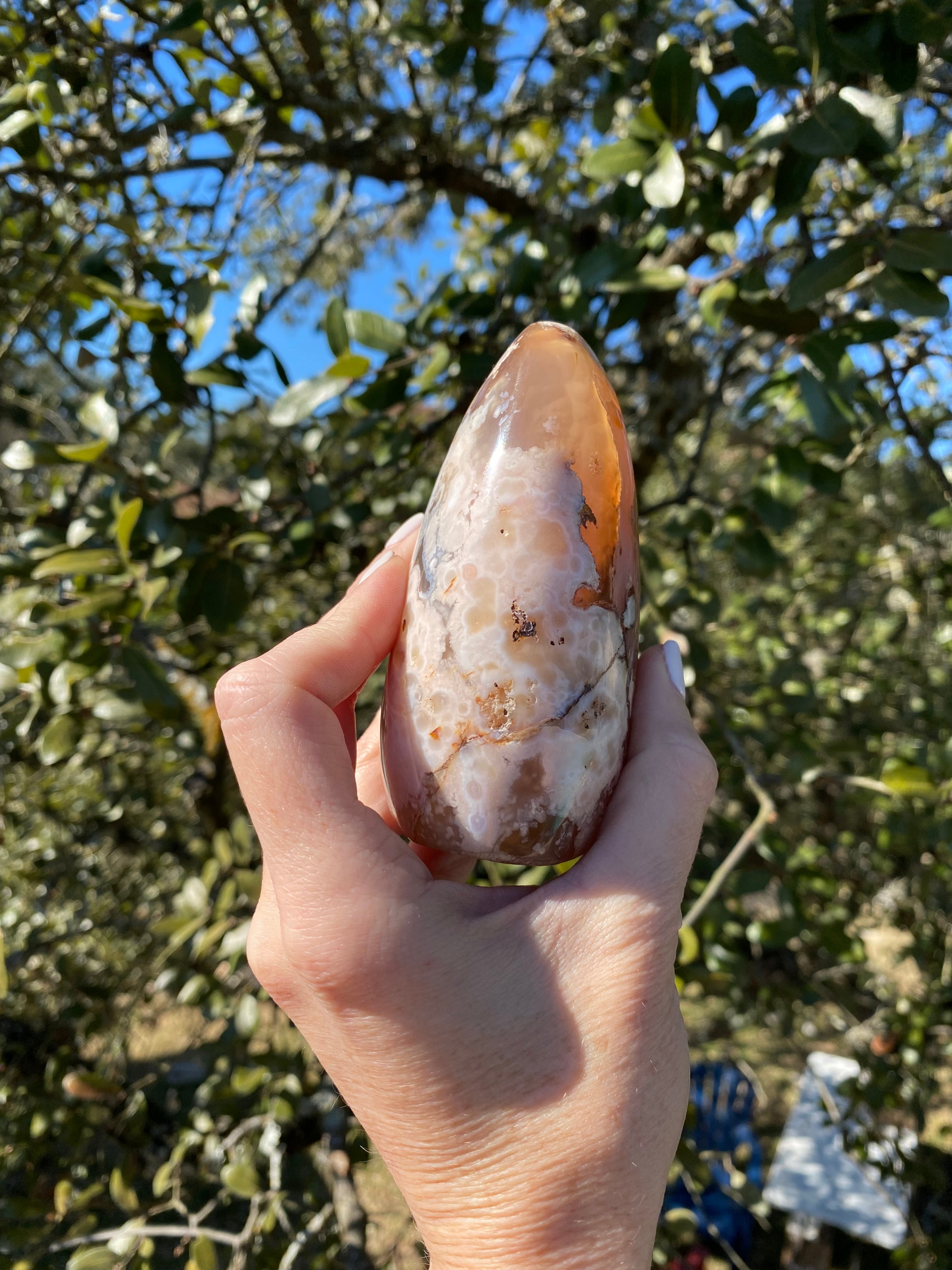 flower agate crystal glowing under the sun, revealing its delicate floral chalcedony inclusions, perfect for manifesting growth