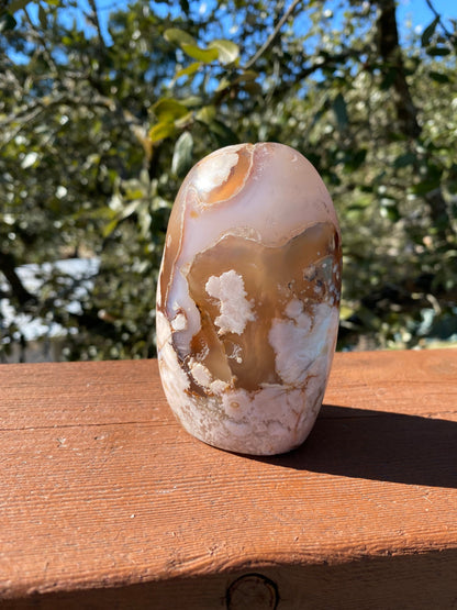 flower agate crystal in sunlight, enhancing its floral patterns and promoting personal growth and potential with vibrant energy