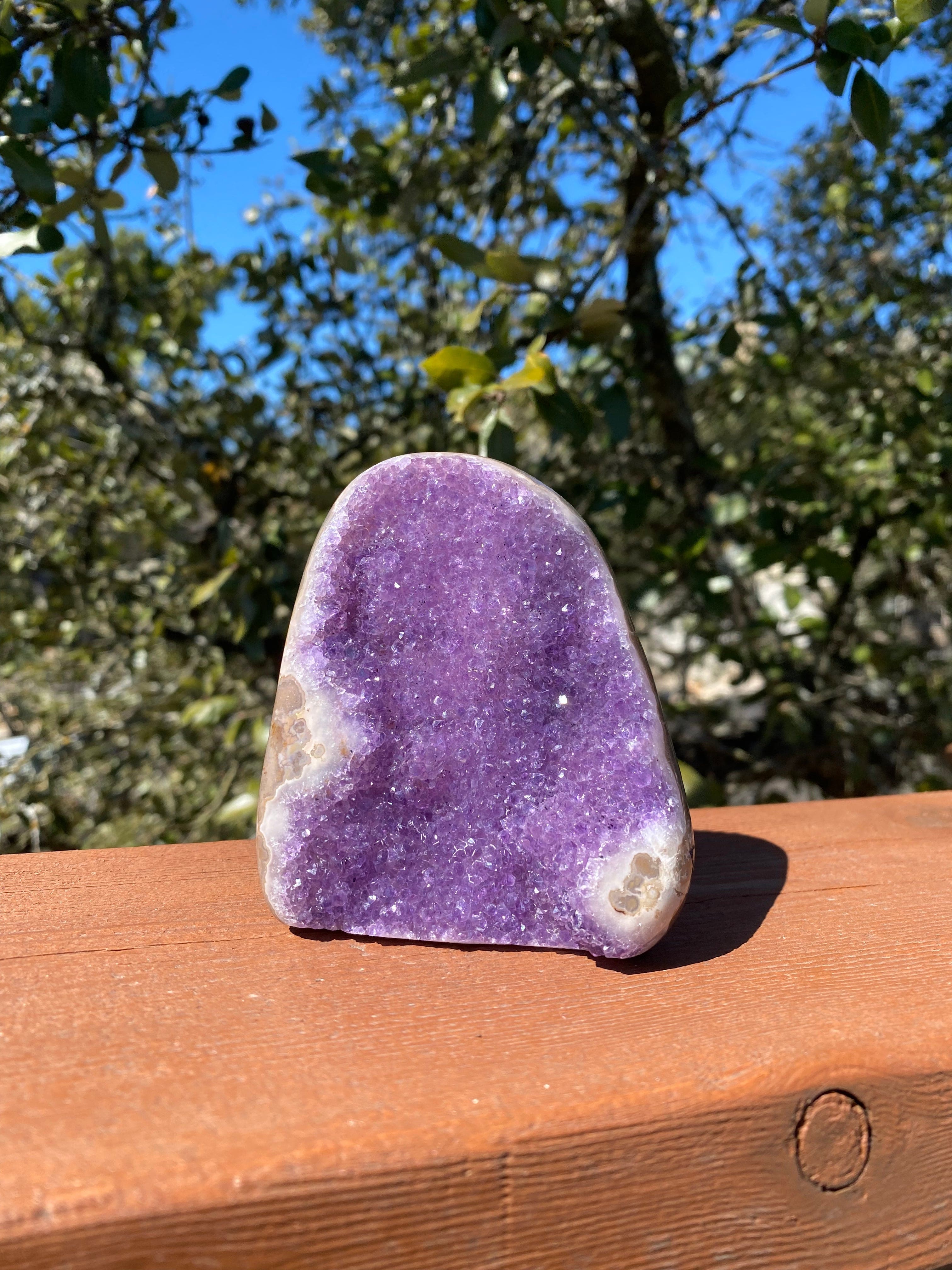 Uruguayan Amethyst geode with bright purple crystals and a banded Agate edge in neutral tones.