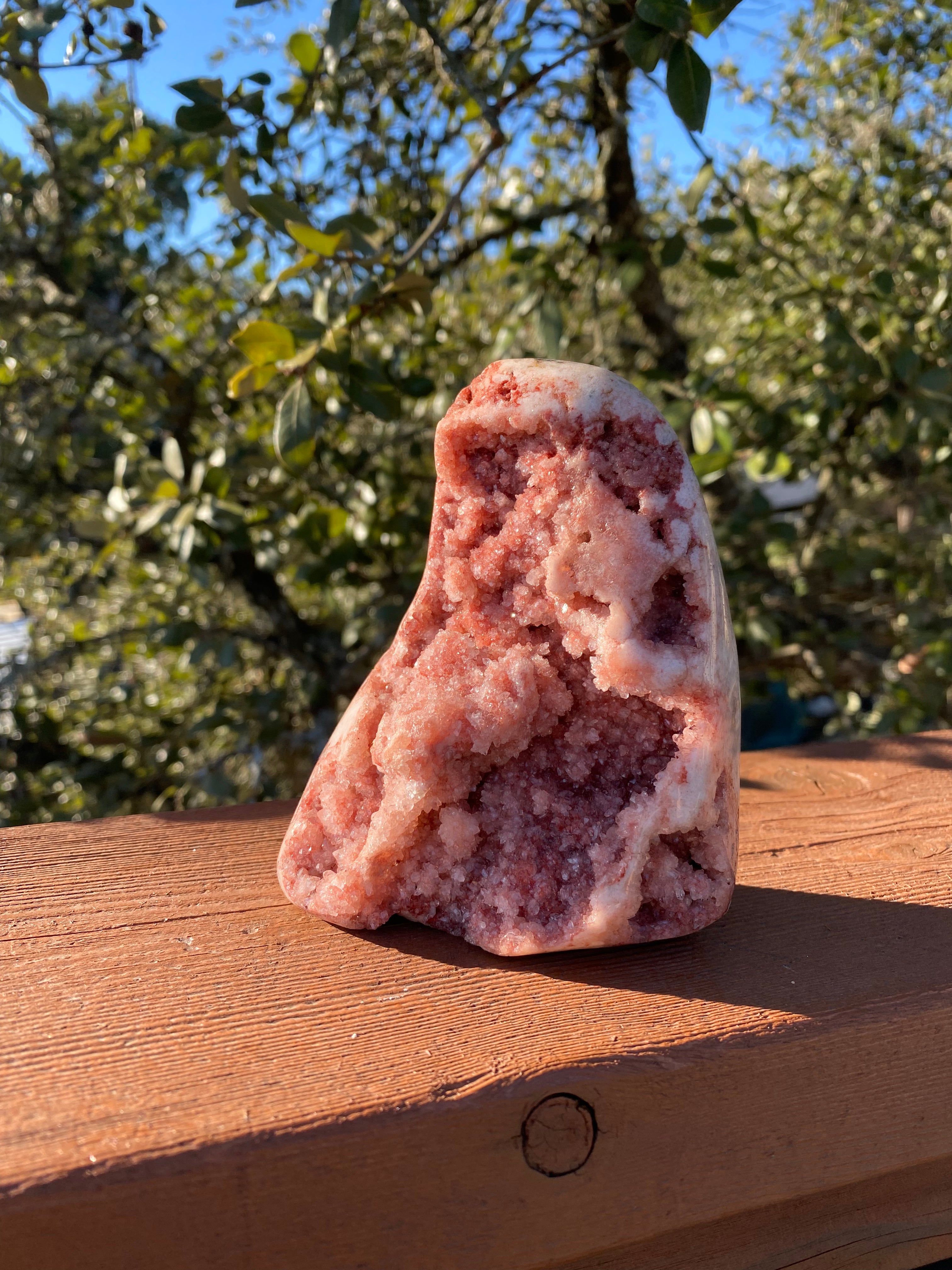 Sunlight illuminates the Rose Amethyst Specimen's geode cavity, showcasing glittering pink crystals over rose jasper for a stunning effect