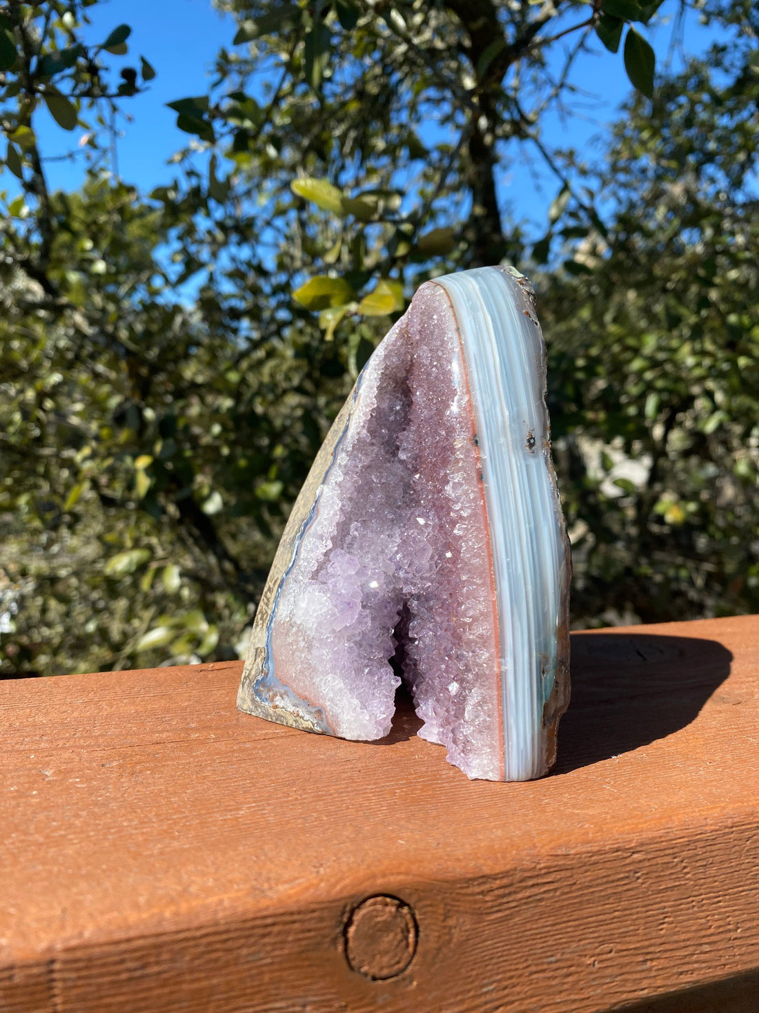 Lavender Amethyst Geode with sparkling purple crystals, surrounded by light blue and white Brazilian Agate, featuring a natural back