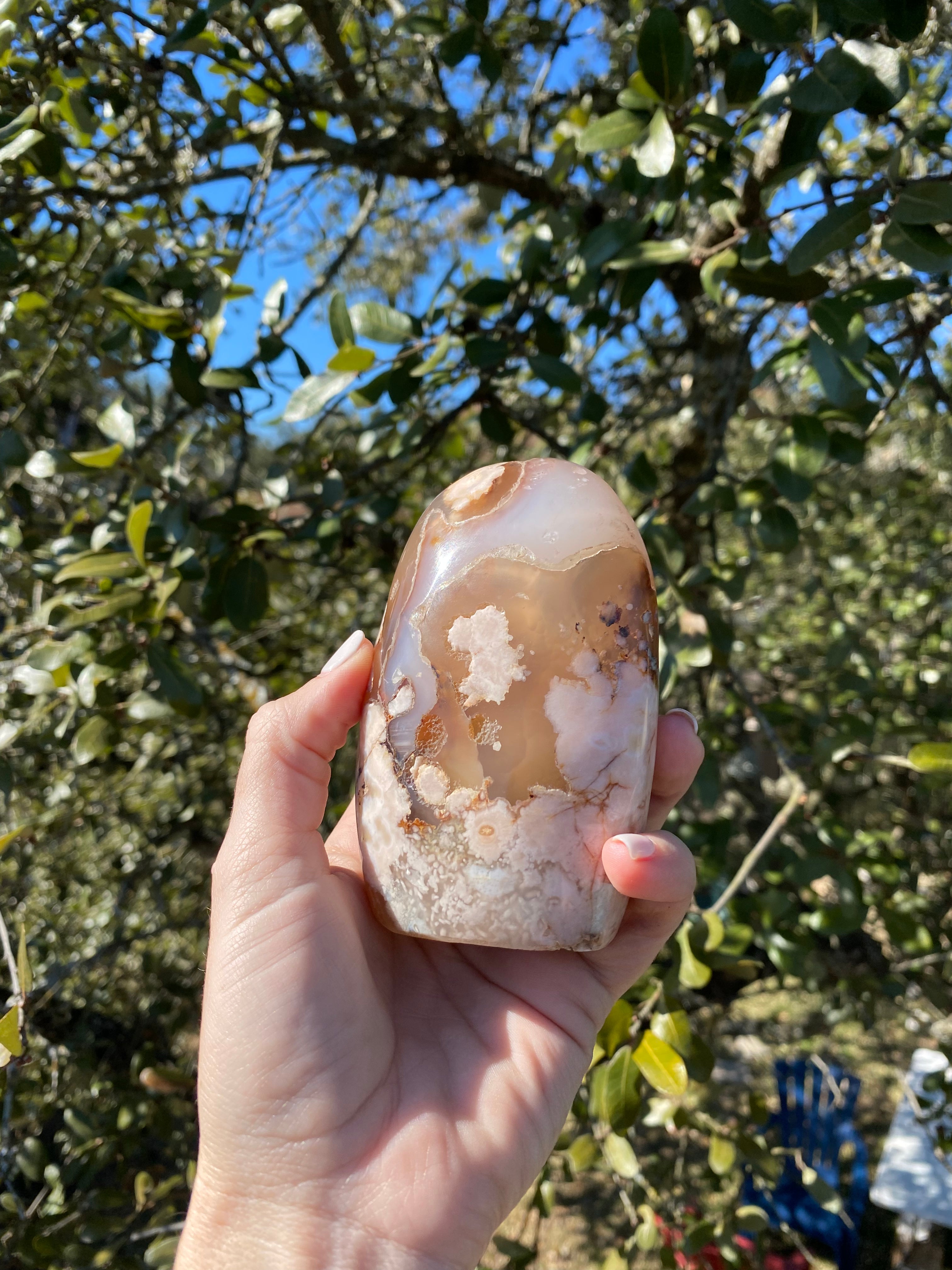 flower agate, a beautiful crystal for personal growth, fighting fear, and laying foundations for meaningful change with floral patterns