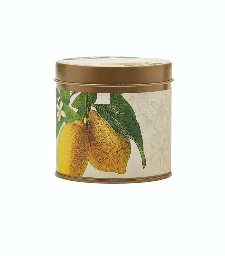 Lemon Blossom + Lychee Signature Tin