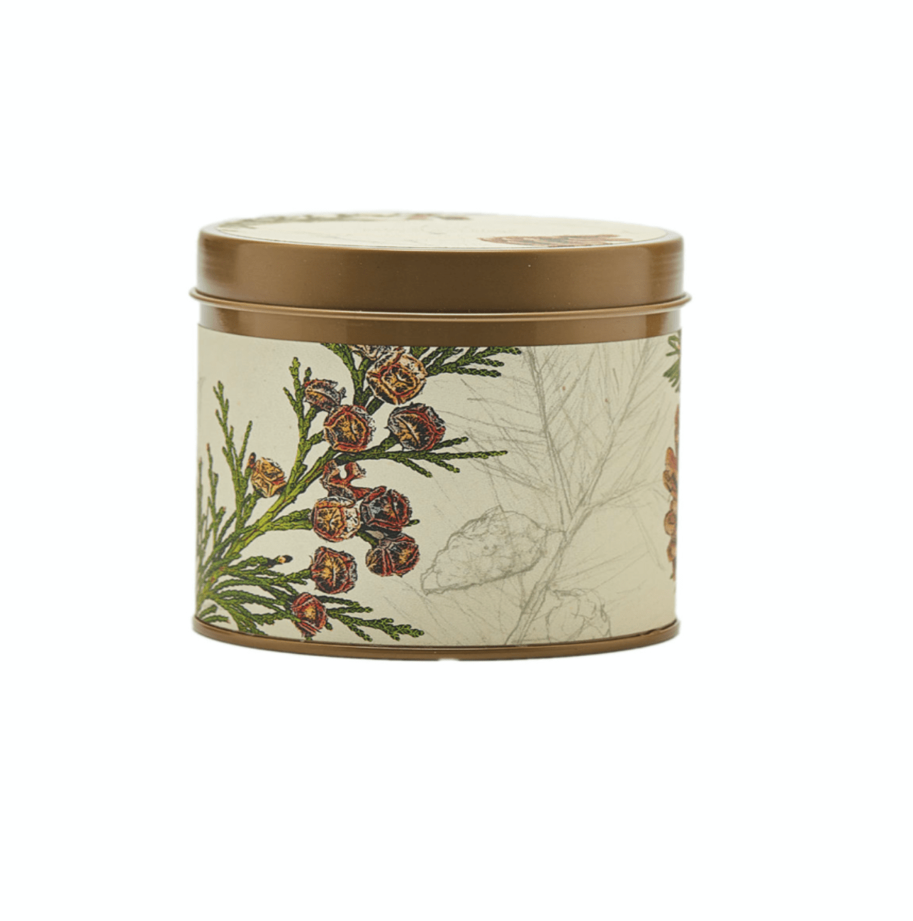 forest signature tin candle with cedarwood, pine, and sandalwood scents, hand-poured coconut wax blend, 50-hour burn time, 7 oz capacity