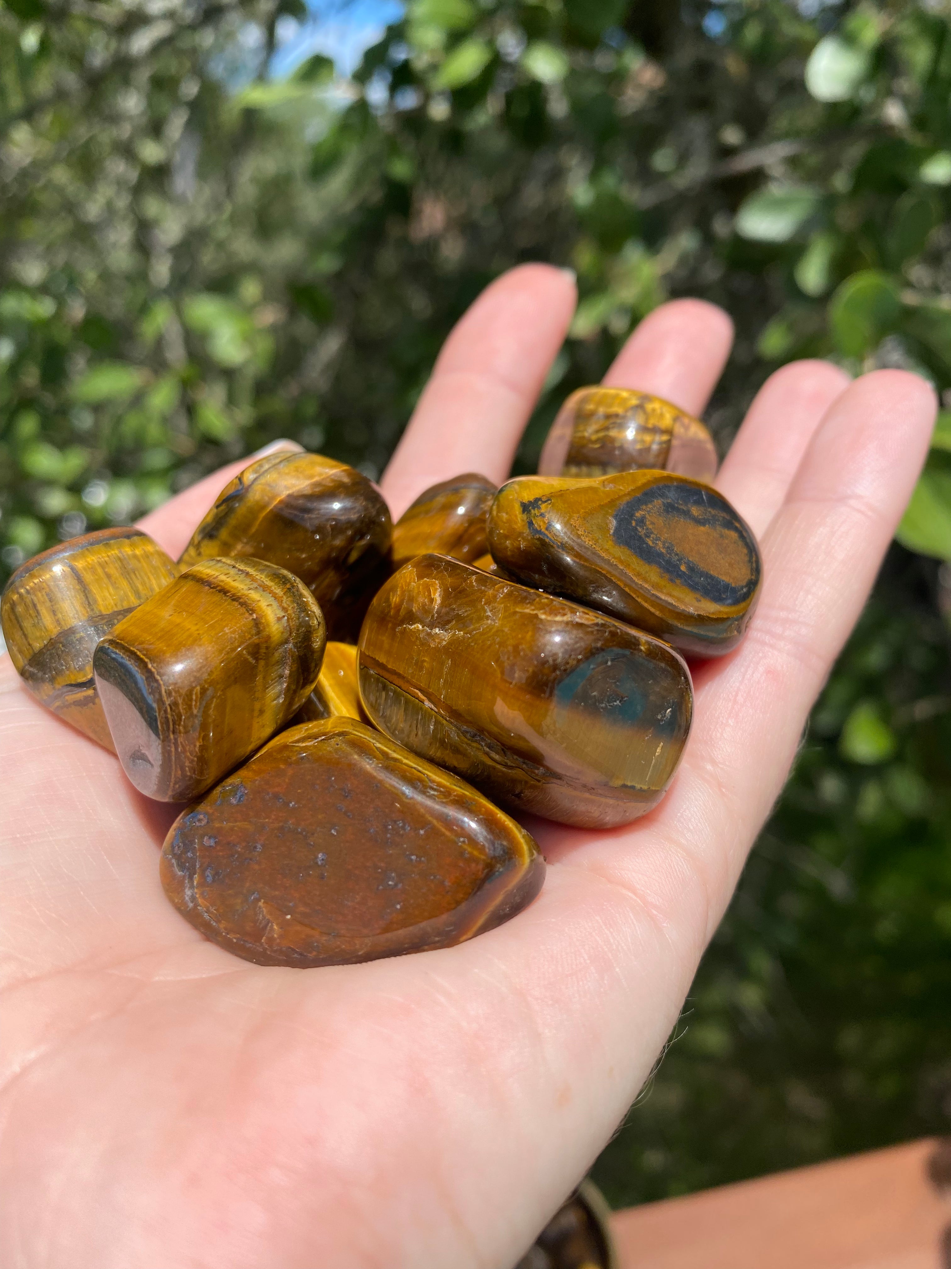 A group of Tiger’s Eye Tumbles displays rich golden-brown hues, perfect for grounding energy and enhancing spiritual balance