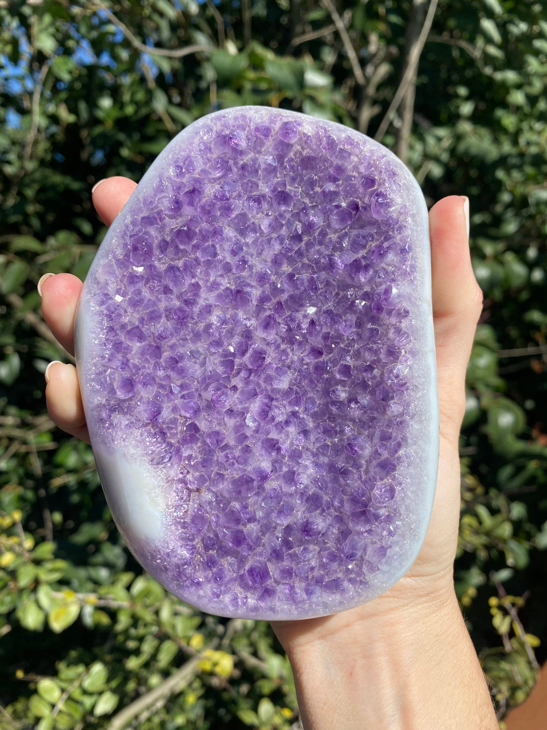 Large Amethyst crystal with baby blue and white Agate banding, featuring vibrant purple crystals for healing and stress relief.