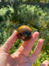 Held in the sunlight, the Tiger’s Eye Sphere reveals stunning golden-brown hues, radiating grounding and protective energy