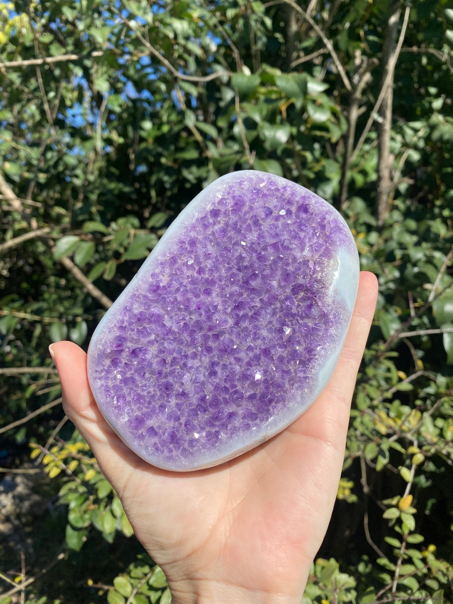 Amethyst crystal with baby blue and white Agate banding, shimmering in the sunlight, radiating calming energy.