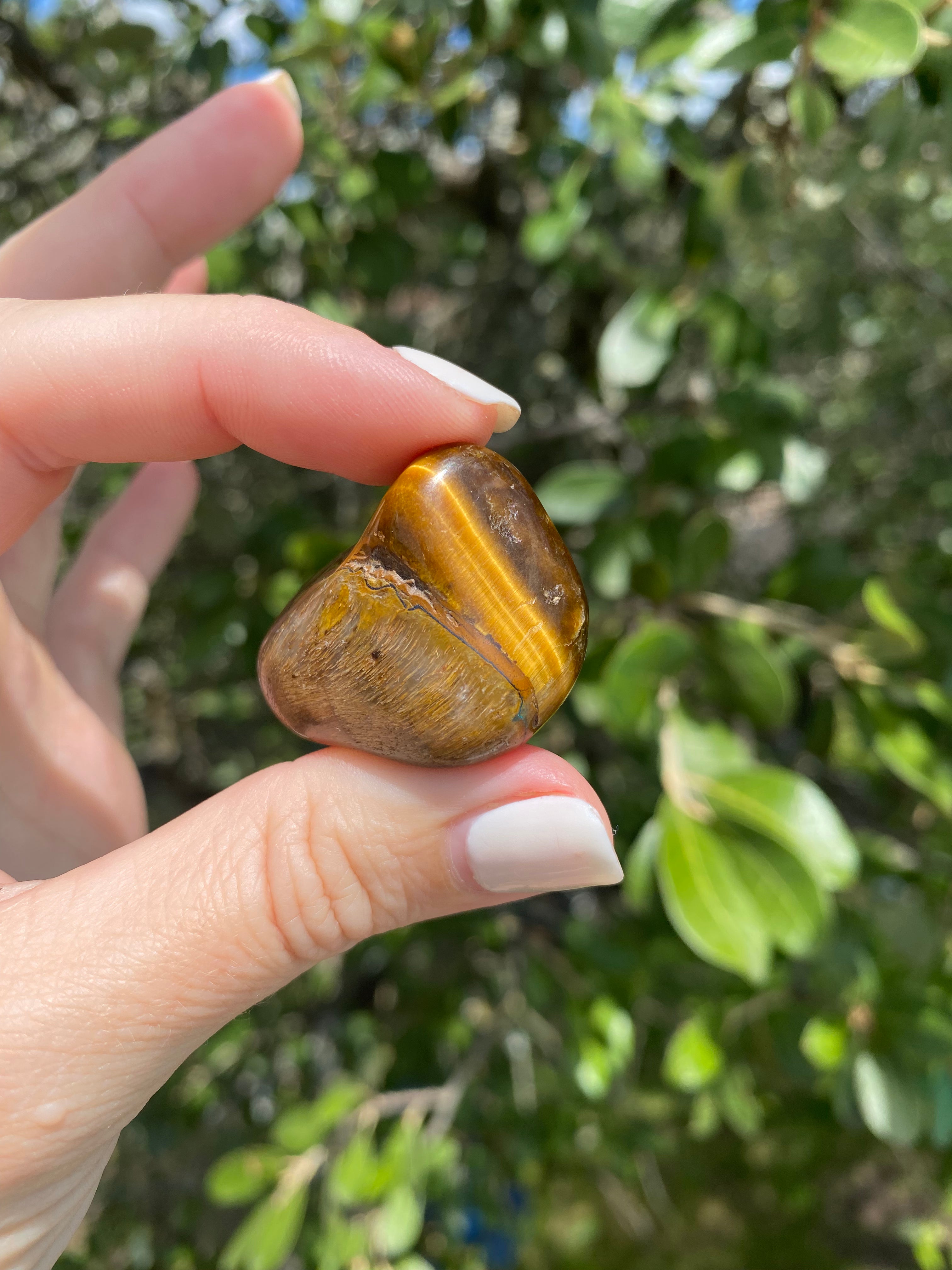 When held up to the sun, the Tiger’s Eye Tumble shines with vibrant, golden hues, enhancing its stabilizing and protective properties