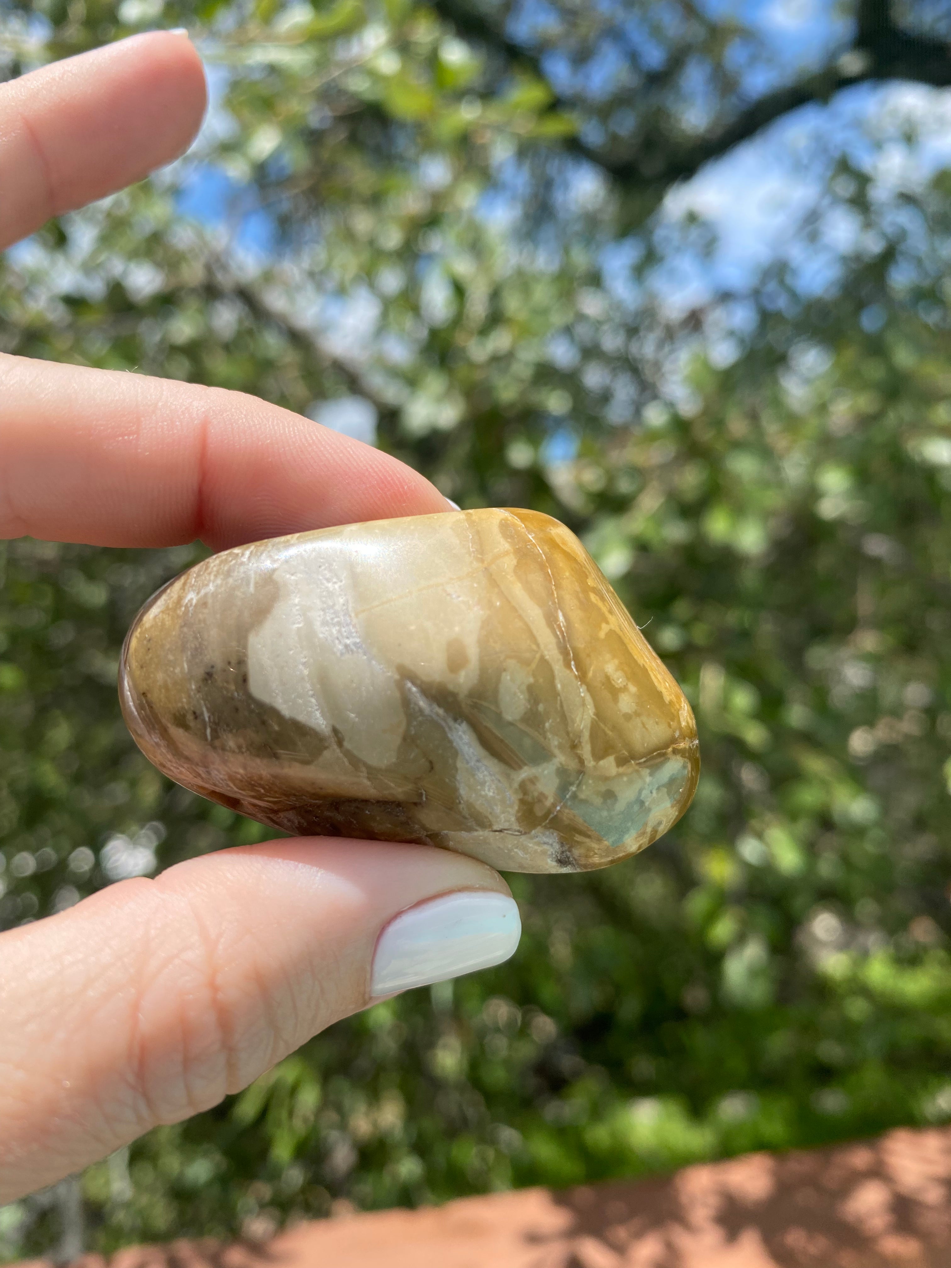 Brown Jasper tumble stone, a grounding crystal linked to the root chakra, offering balance, security, and calm